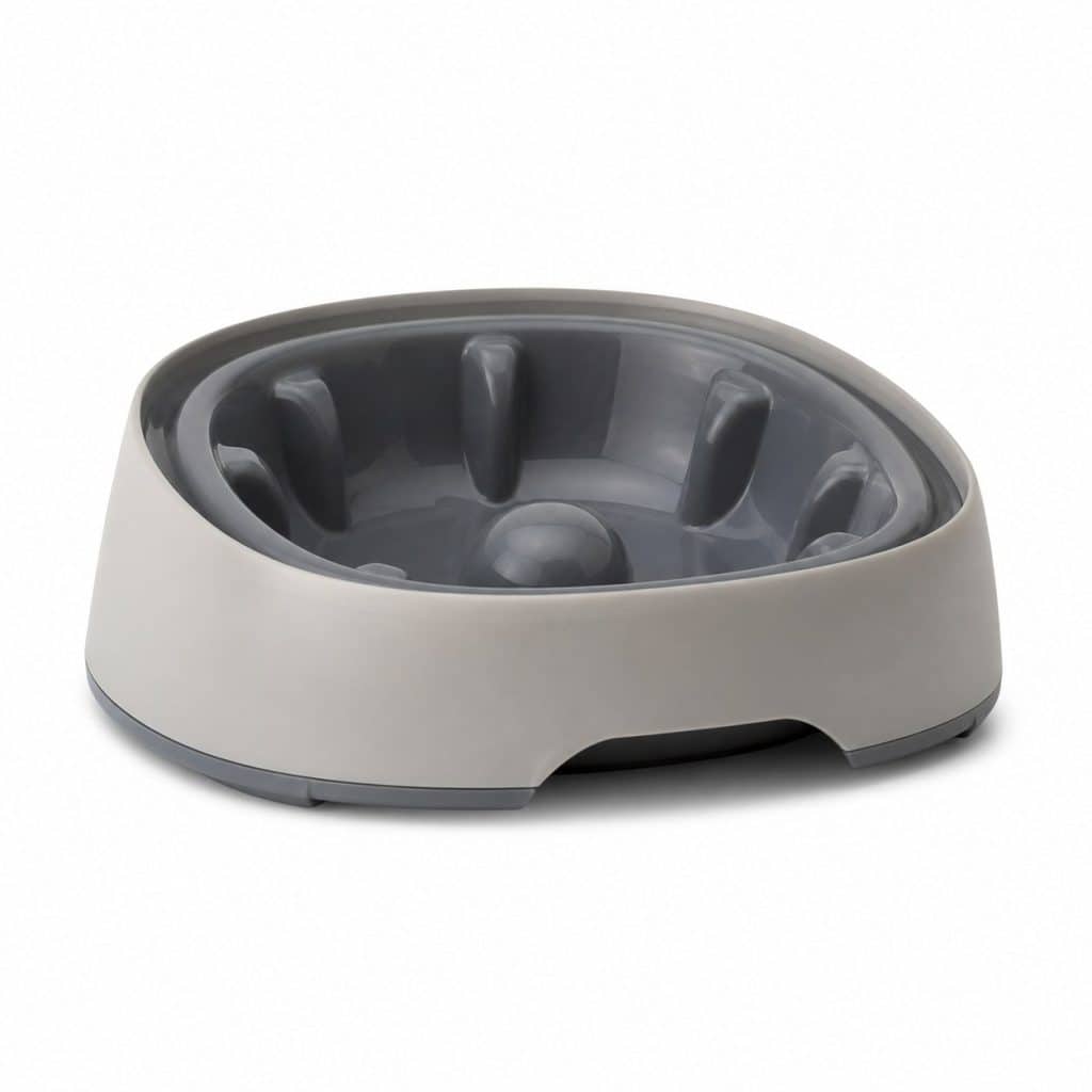Gamelle anti-oreilles pour chien à oreilles tombantes présenté seul